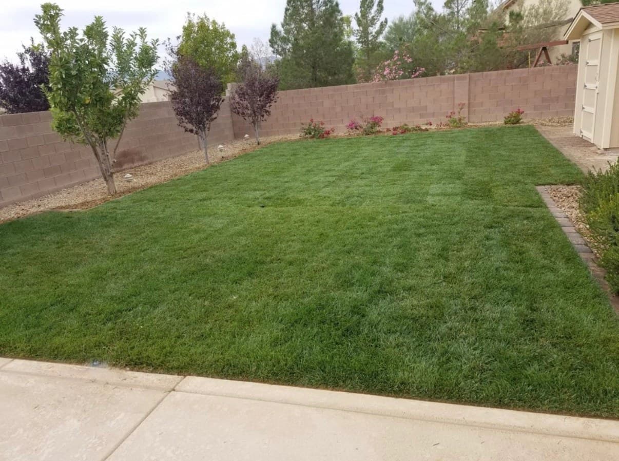 Freshly mowed, healthy green backyard lawn installed by Transformers Landscaping in Las Vegas